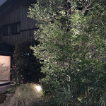 リョウリヤ ステファン パンテル - 