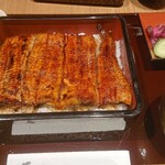 Unagi Toku - 