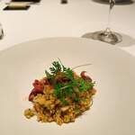 カンテサンス - 