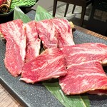 Yakiniku Santa Choukoujiten - 