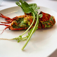 THE COSMOPOLITAN GRILL BAR TERRACE - 