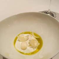 カンテサンス - 