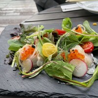 LITORANEO - カルパッチョ