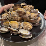 イル アオヤマ - 