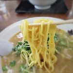 ラーメン大将 - 中太な黄色い麺