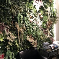 Shangri-La's secret ROPPONGI - 