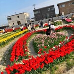 ペルトナーレ - 真ん中はハート形