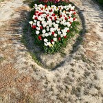 ペルトナーレ - キレイ