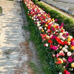 ペルトナーレ - 最後までいつもありがとうございます(^^)