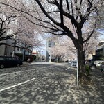 Shokudou Takahiro - 見よ！　この哲学堂へ向かう桜並木道を！
      
      ♪ おれも…おまえも…大物だｧ  そうよ…大物よォ♪
      
      日本っていいな〜！