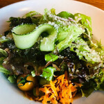 Organic Food vegetable salad
