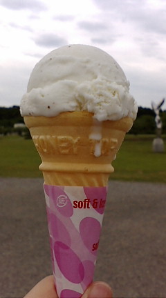 佐々木商事　井川さくらＳＳ - 井川さくら（ジェラート・アイスクリーム）の写真