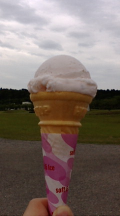 佐々木商事　井川さくらＳＳ - 井川さくら（ジェラート・アイスクリーム）の写真