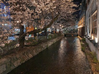 Kyou No Sakana Katsugi - お店から京都らしい風景をお楽しみいただけます。
