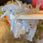 大洗町漁協　かあちゃんの店 - 