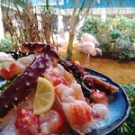 メヒコ 守谷フラミンゴ館 - 