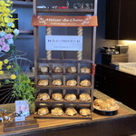 フォルテシモ アッシュ - 