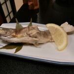 坂巻温泉旅館 - 岩魚の塩焼き