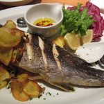 イタリアンダイニング・ミズキ - イサキのグリル