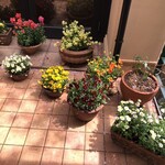 ラ ベントゥーラ - 