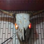 一条流がんこ総本家分家四谷荒木町 - 