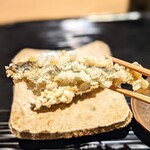 富小路 やま岸 - 