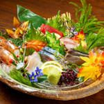 Sushi Sakaba Akafuji - お造り おまかせ7種盛り合わせ