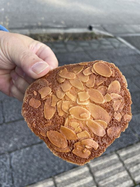 山形・鶴岡の老舗和菓子店 亀屋菓子舗 藤島 &ndash; 伝統の甘味と季節の逸品