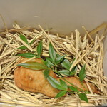 傳 - 傳タッキー２