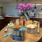 ULANA - 2022年4月11日 朝