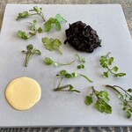 レヴォ - 日本鹿