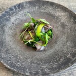 レヴォ - 蛍烏賊