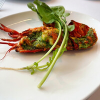 THE COSMOPOLITAN GRILL BAR TERRACE - 