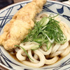 Marugame Seimen - ぶっかけ・温並+かしわ天