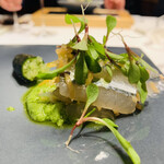 HAGI - ②【サヨリ、菜花】
      ★ サヨリ、キャベツ+菜花のソース、タンポポの新芽とフィンガーライム添え