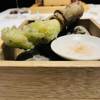 HAGI - ①【タラの芽】※
                    ★ タラの芽のフリット。仕上げに薪火で炙って、油を落としてます。シェフがブレンドした唐辛子入り？岩塩添え