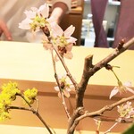 銀座 しのはら - 桜、れんぎょう、椿