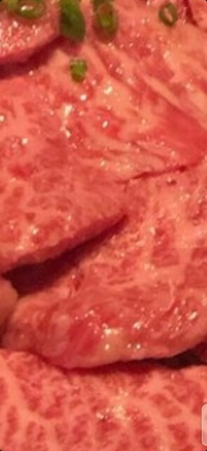 Taiseien Nishiki Ten photo 2