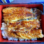 Ikiunagi - 