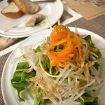 Osuteria jyappusu - 前菜、サラダ、白レバーパテ