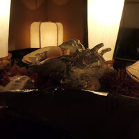 本湖月 -  本湖月 -