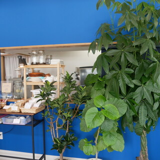 カフェ アルターナ_2