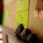 タイヒバン - 牛/豚/鶏糞のオブジェ