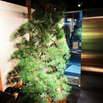 南渋谷 なみの上 - 