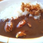 アリエスカ - みんな大好きチキンカレー￥９００