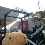 cafe HIBIKI - 西洋美術館の真ん前でっす！