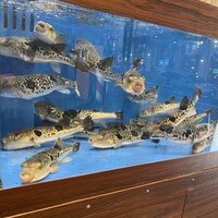 ふぐ料理 百福 池下店 - 
