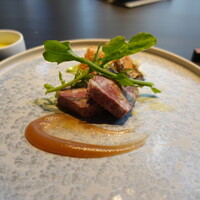 TOKi - 倭鴨のテリーナ　春キャベツとキクラゲ