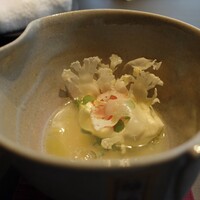 TOKi - 冬を過ごし、また春が来る