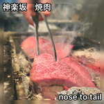 Nose to Tail - 